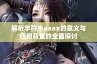 解析字符串aaax的意义与应用背景的全面探讨