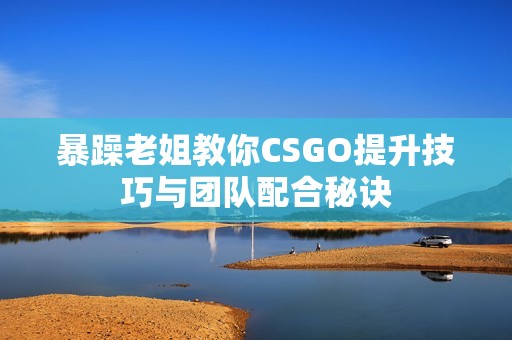 暴躁老姐教你CSGO提升技巧与团队配合秘诀
