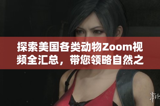 探索美国各类动物Zoom视频全汇总，带您领略自然之美