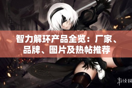 智力解环产品全览：厂家、品牌、图片及热帖推荐