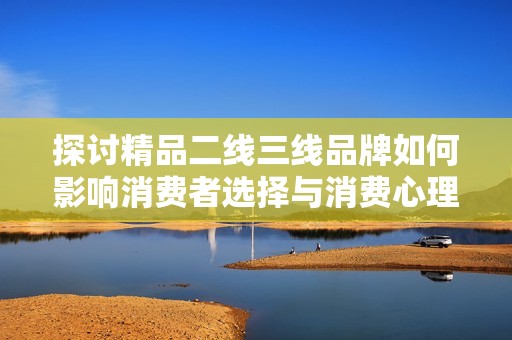 探讨精品二线三线品牌如何影响消费者选择与消费心理