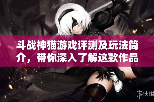 斗战神猫游戏评测及玩法简介，带你深入了解这款作品