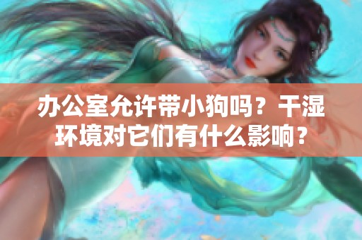 办公室允许带小狗吗？干湿环境对它们有什么影响？