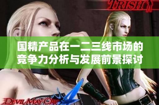 国精产品在一二三线市场的竞争力分析与发展前景探讨