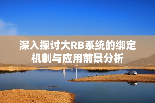 深入探讨大RB系统的绑定机制与应用前景分析