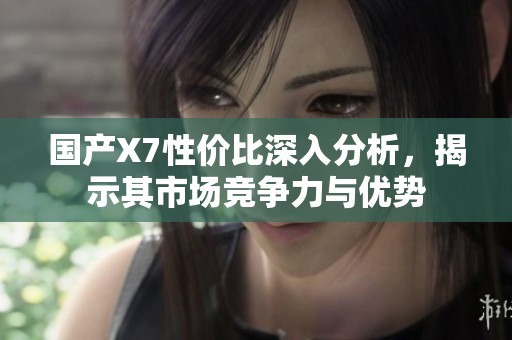 国产X7性价比深入分析，揭示其市场竞争力与优势
