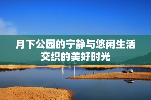 月下公园的宁静与悠闲生活交织的美好时光