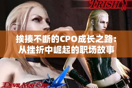 挨揍不断的CPO成长之路：从挫折中崛起的职场故事