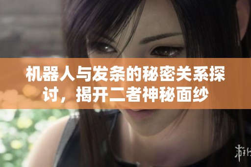 机器人与发条的秘密关系探讨，揭开二者神秘面纱
