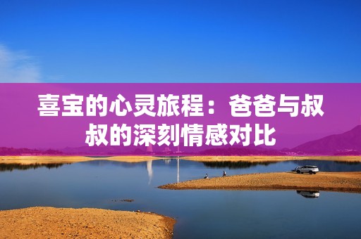 喜宝的心灵旅程：爸爸与叔叔的深刻情感对比