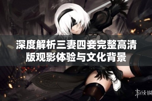 深度解析三妻四妾完整高清版观影体验与文化背景