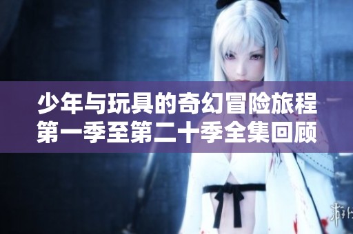 少年与玩具的奇幻冒险旅程第一季至第二十季全集回顾