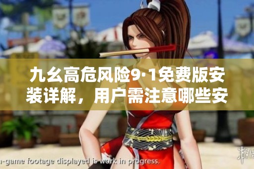 九幺高危风险9·1免费版安装详解，用户需注意哪些安全隐患