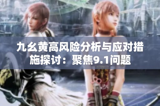 九幺黄高风险分析与应对措施探讨：聚焦9.1问题