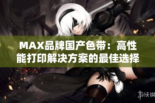 MAX品牌国产色带：高性能打印解决方案的最佳选择
