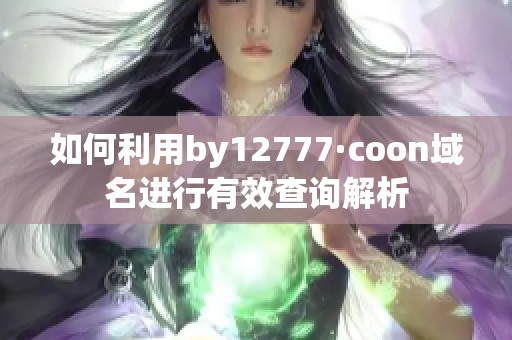 如何利用by12777·coon域名进行有效查询解析