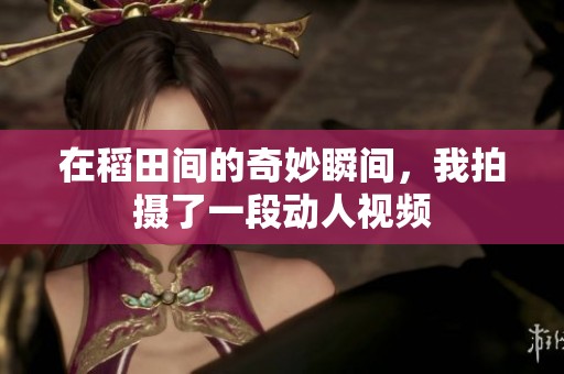 在稻田间的奇妙瞬间，我拍摄了一段动人视频