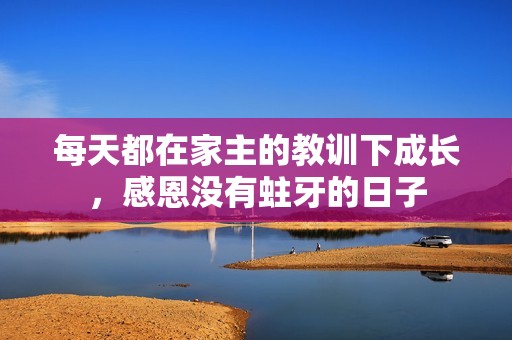 每天都在家主的教训下成长，感恩没有蛀牙的日子