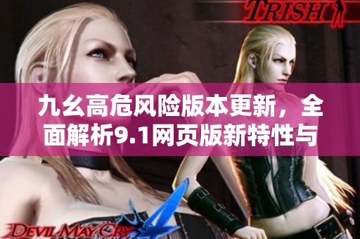 九幺高危风险版本更新，全面解析9.1网页版新特性与挑战