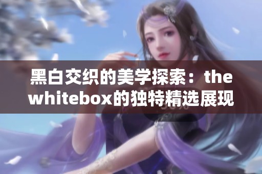 黑白交织的美学探索：thewhitebox的独特精选展现