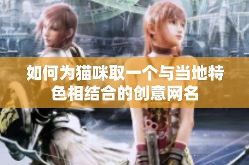 如何为猫咪取一个与当地特色相结合的创意网名
