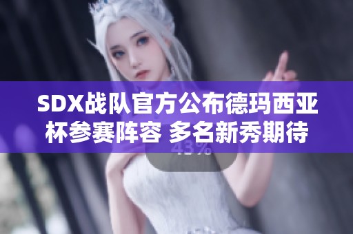 SDX战队官方公布德玛西亚杯参赛阵容 多名新秀期待表现