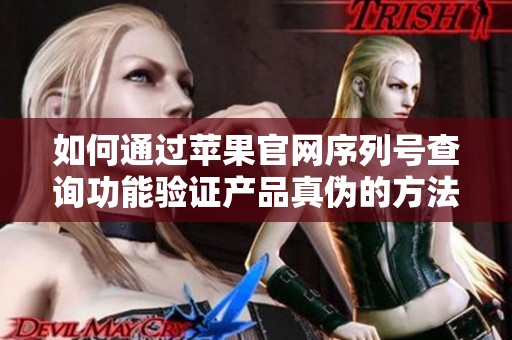 如何通过苹果官网序列号查询功能验证产品真伪的方法