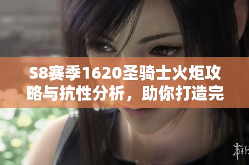 S8赛季1620圣骑士火炬攻略与抗性分析，助你打造完美角色