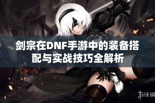 剑宗在DNF手游中的装备搭配与实战技巧全解析