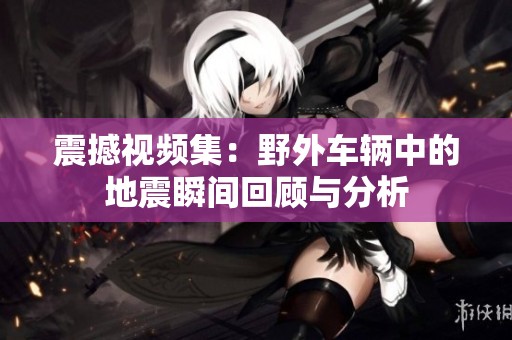 震撼视频集：野外车辆中的地震瞬间回顾与分析
