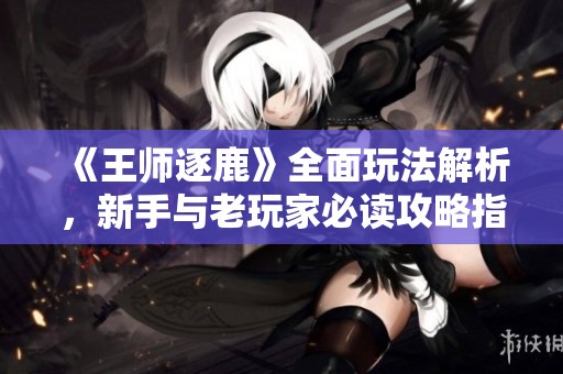 《王师逐鹿》全面玩法解析，新手与老玩家必读攻略指南