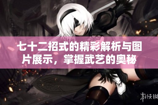 七十二招式的精彩解析与图片展示，掌握武艺的奥秘