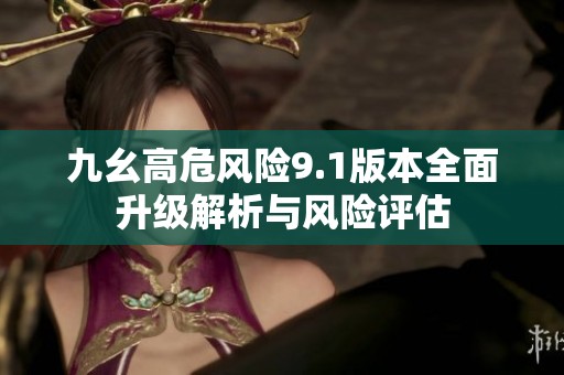 九幺高危风险9.1版本全面升级解析与风险评估