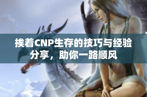 挨着CNP生存的技巧与经验分享，助你一路顺风