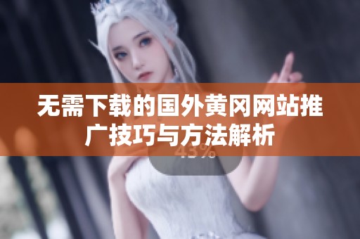 无需下载的国外黄冈网站推广技巧与方法解析