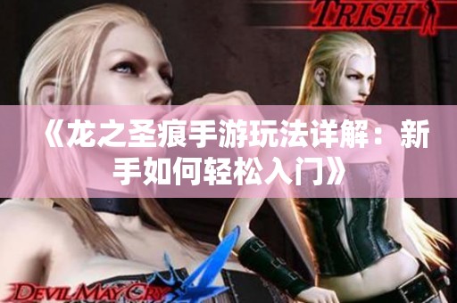 《龙之圣痕手游玩法详解：新手如何轻松入门》