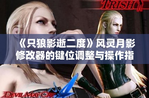 《只狼影逝二度》风灵月影修改器的键位调整与操作指南详解