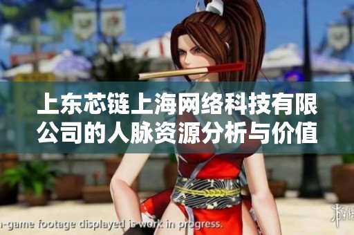 上东芯链上海网络科技有限公司的人脉资源分析与价值探讨