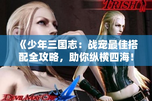 《少年三国志：战宠最佳搭配全攻略，助你纵横四海！》
