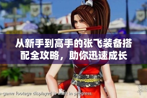 从新手到高手的张飞装备搭配全攻略，助你迅速成长