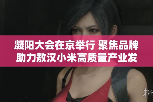 凝阳大会在京举行 聚焦品牌助力敖汉小米高质量产业发展