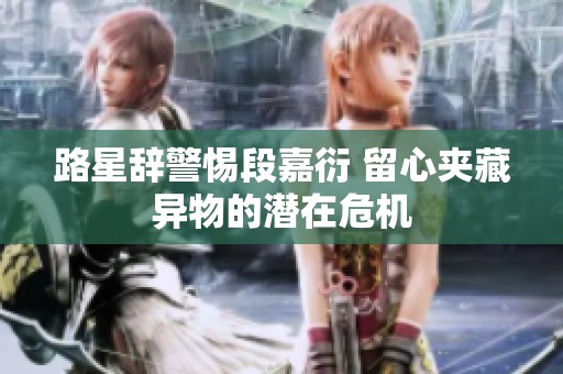 路星辞警惕段嘉衍 留心夹藏异物的潜在危机