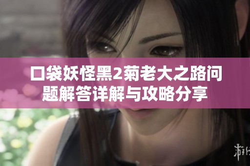口袋妖怪黑2菊老大之路问题解答详解与攻略分享