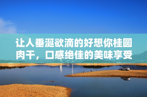 让人垂涎欲滴的好想你桂圆肉干，口感绝佳的美味享受