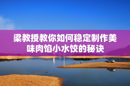 梁教授教你如何稳定制作美味肉馅小水饺的秘诀