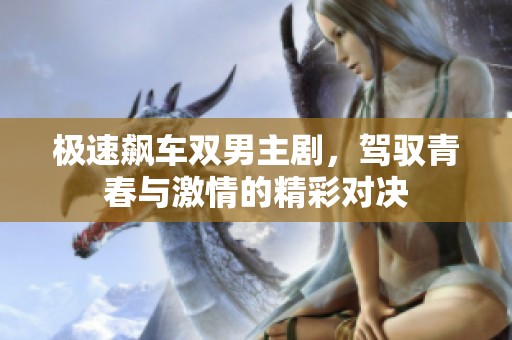 极速飙车双男主剧，驾驭青春与激情的精彩对决