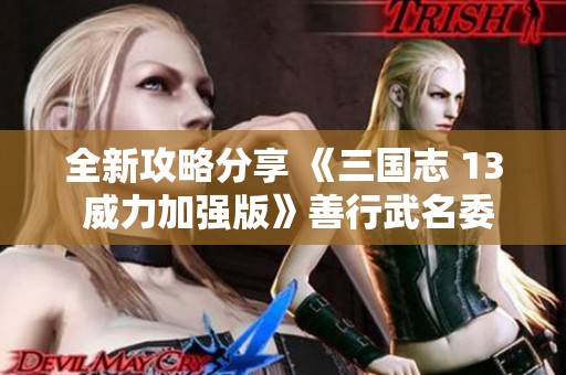 全新攻略分享 《三国志 13 威力加强版》善行武名委托任务接法解析