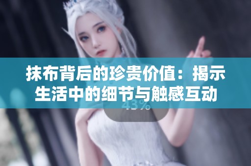 抹布背后的珍贵价值：揭示生活中的细节与触感互动