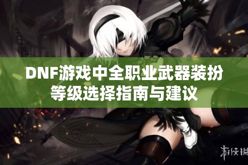 DNF游戏中全职业武器装扮等级选择指南与建议