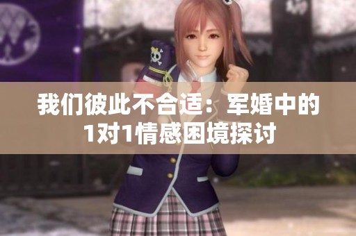 我们彼此不合适：军婚中的1对1情感困境探讨